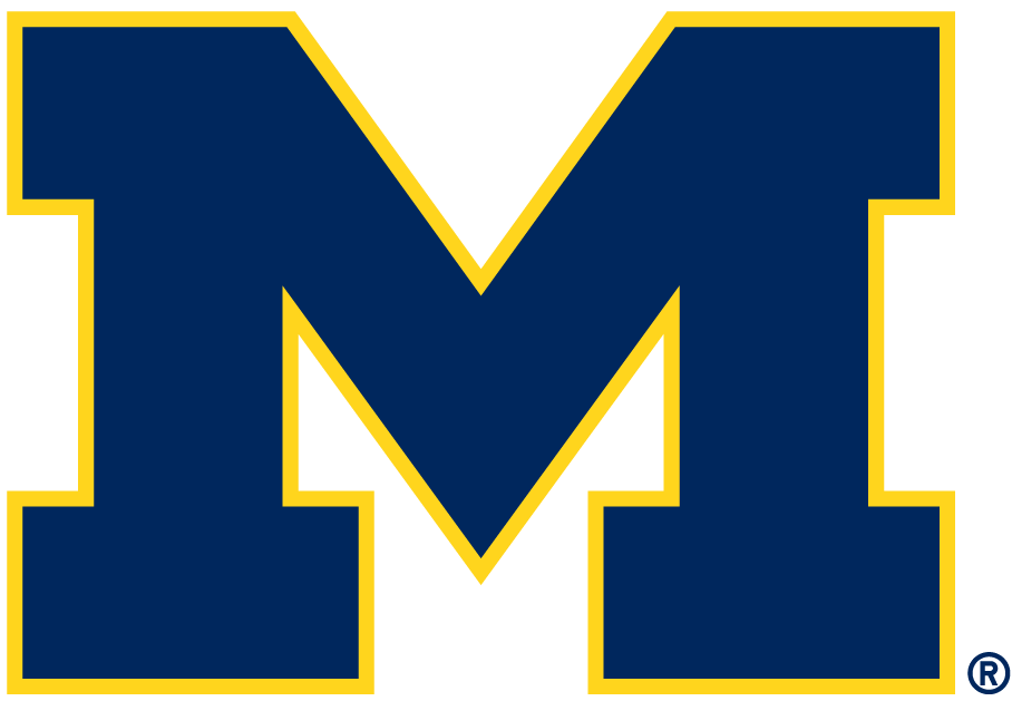 Michigan Wolverines 1996-Pres Alternate Logo diy fabric transfer